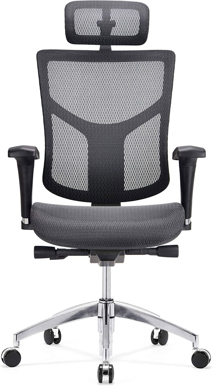Dreem  II Mesh Series Executive Chair With Headrest